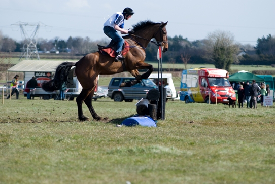 South Dublin Hunter Trials 2008